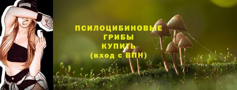 Галлюциногенные грибы Magic Shrooms  Мичуринск 